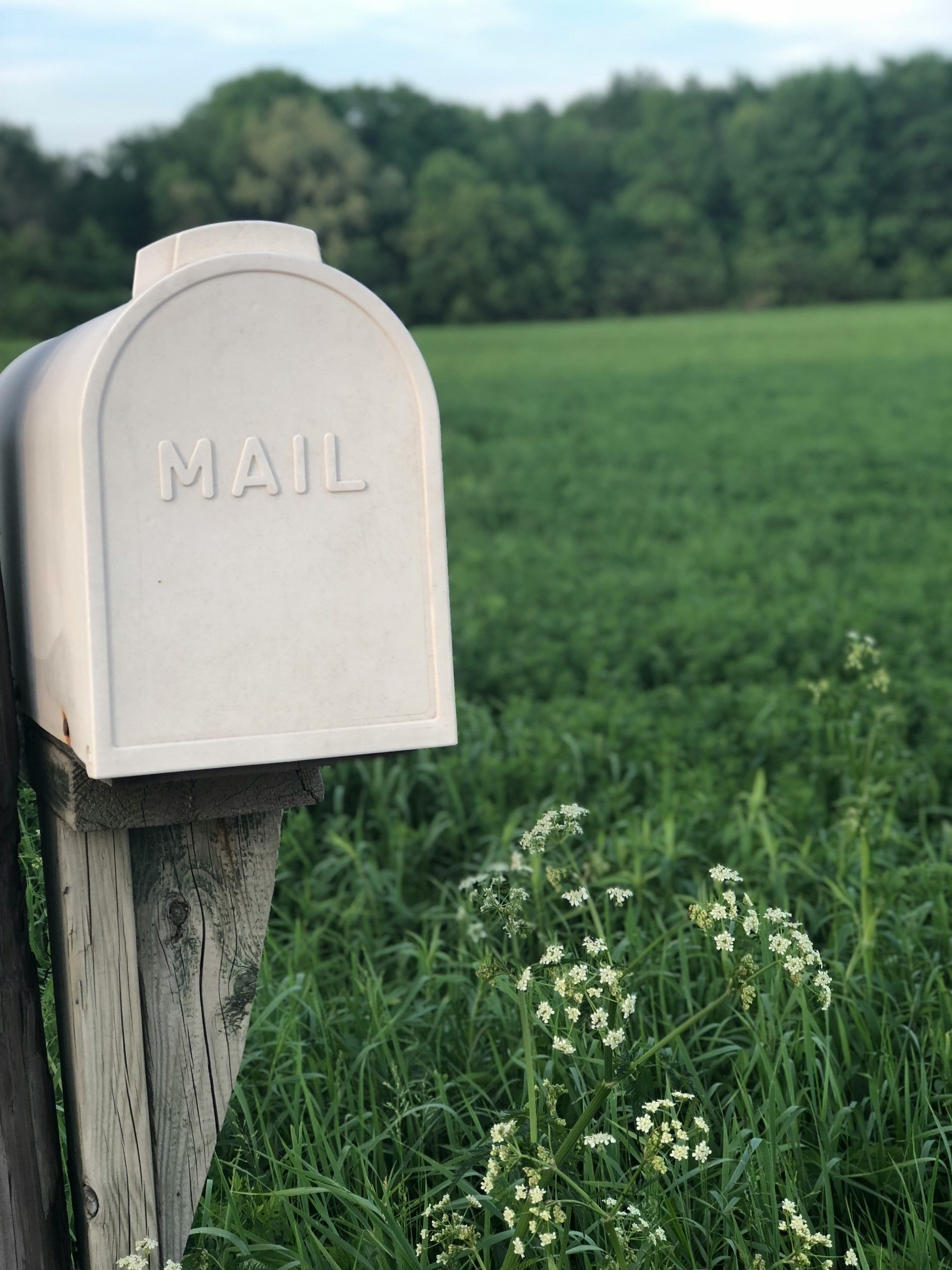 MAIL CLUB